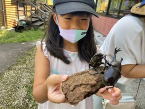 かぶとむしふれあい体験