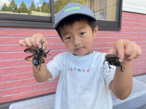 かぶとむしふれあい体験