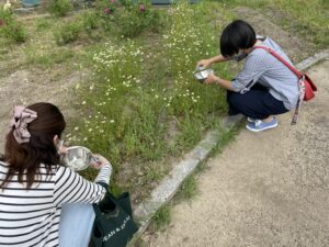 香草女子