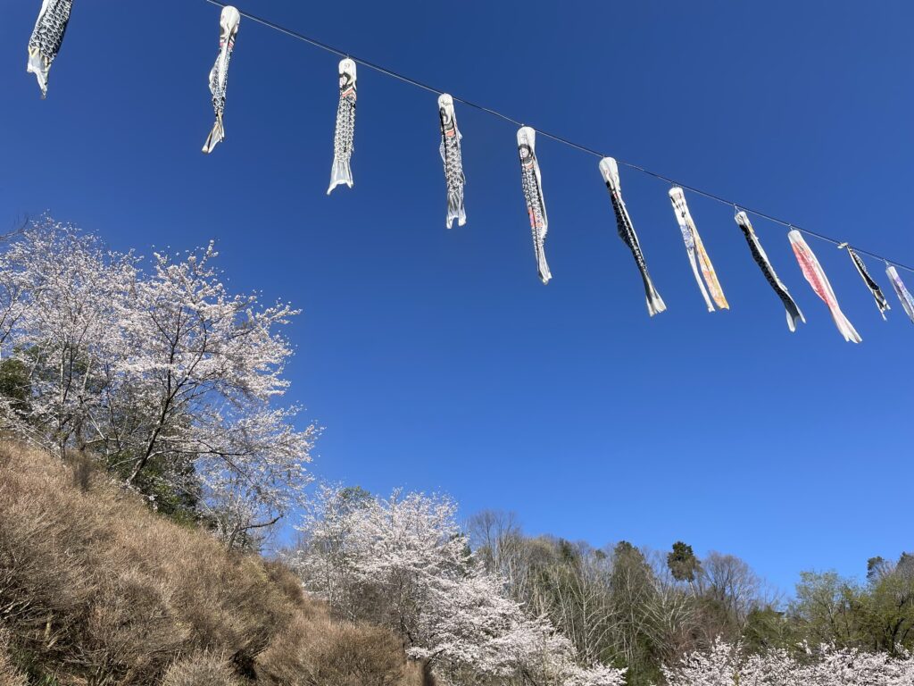 香り会館桜