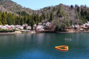 山県市満喫大作戦