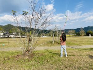 四国山香りの森公園